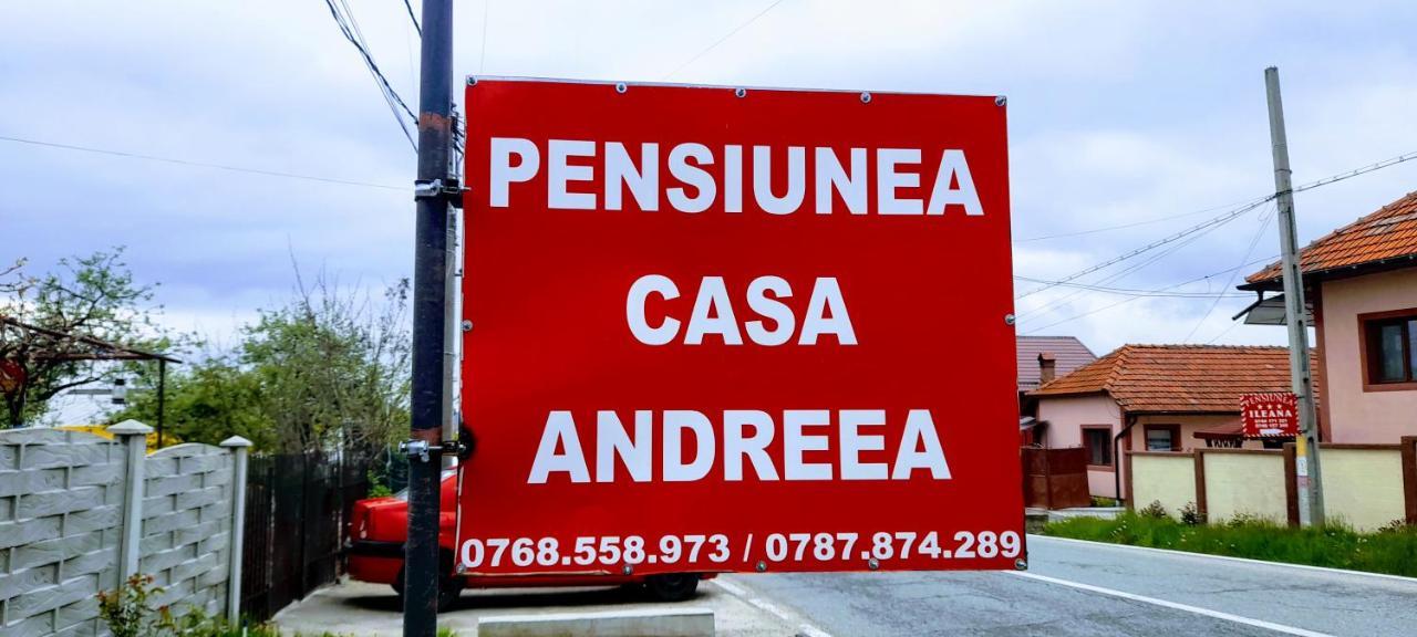 Pensiunea Casa Andreea Novaci-Străini Dış mekan fotoğraf
