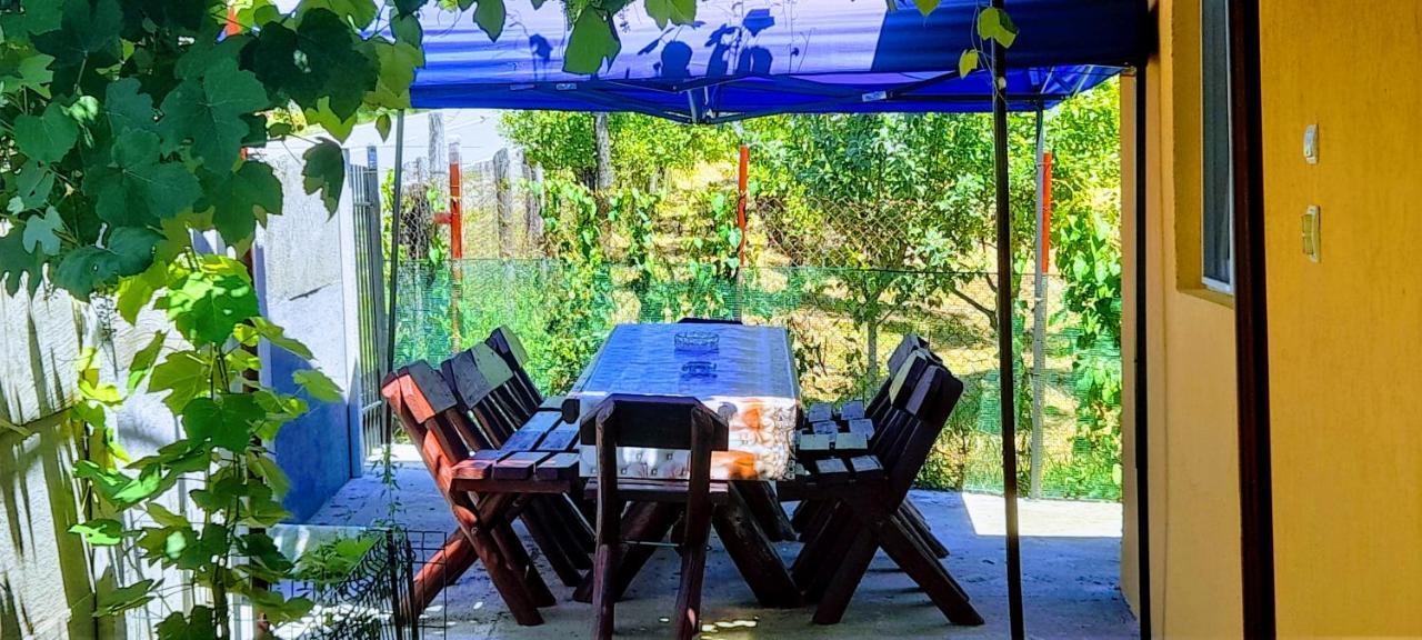 Pensiunea Casa Andreea Novaci-Străini Dış mekan fotoğraf