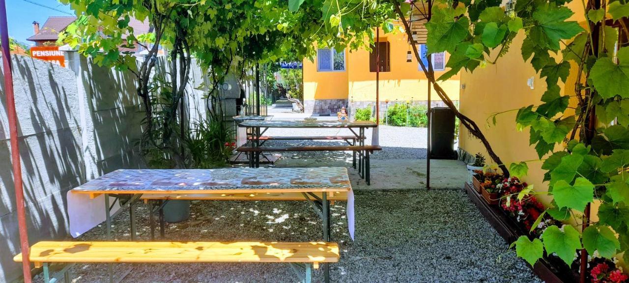 Pensiunea Casa Andreea Novaci-Străini Dış mekan fotoğraf