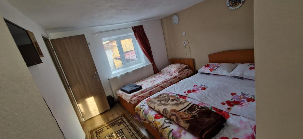 Pensiunea Casa Andreea Novaci-Străini Dış mekan fotoğraf