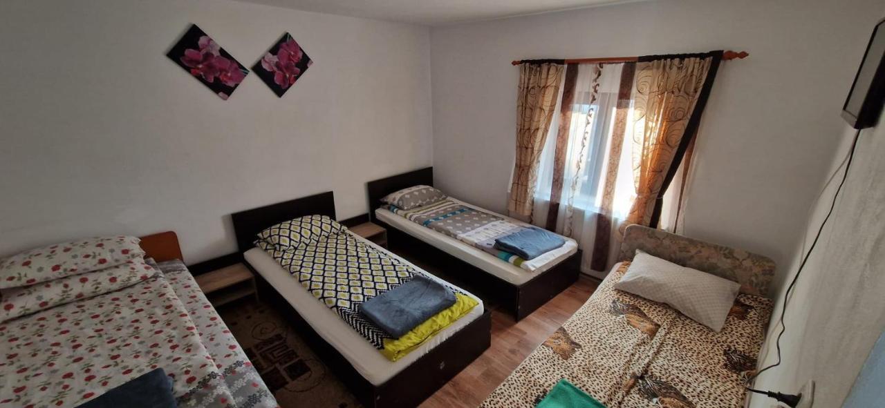 Pensiunea Casa Andreea Novaci-Străini Dış mekan fotoğraf