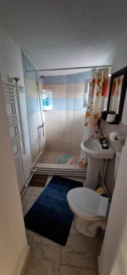 Pensiunea Casa Andreea Novaci-Străini Dış mekan fotoğraf