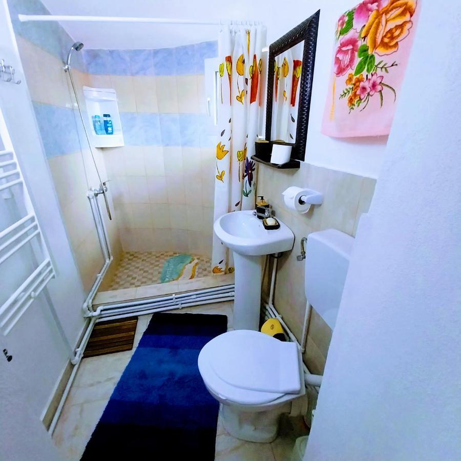 Pensiunea Casa Andreea Novaci-Străini Dış mekan fotoğraf