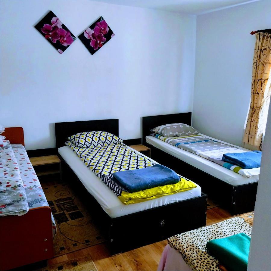 Pensiunea Casa Andreea Novaci-Străini Dış mekan fotoğraf